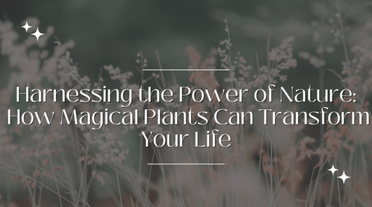 Harnessing the Power of Nature: How Magical Plants Can Transform Your Life